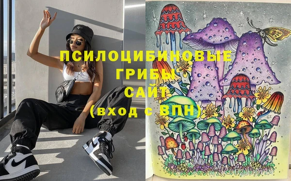 MDMA Алексеевка