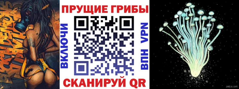 Псилоцибиновые грибы Psilocybe Челябинск
